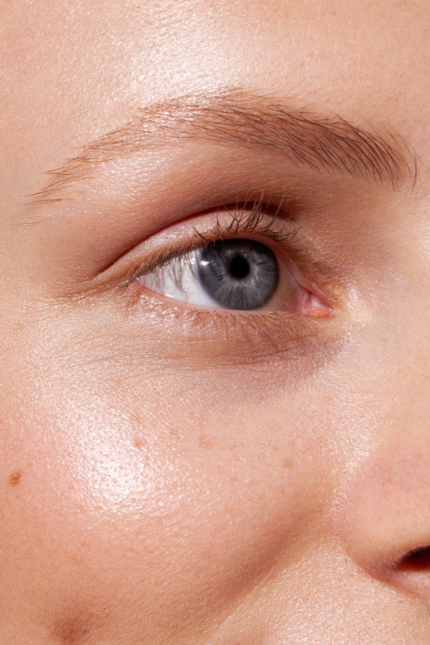 Gel per sopracciglia - Grow & Fix