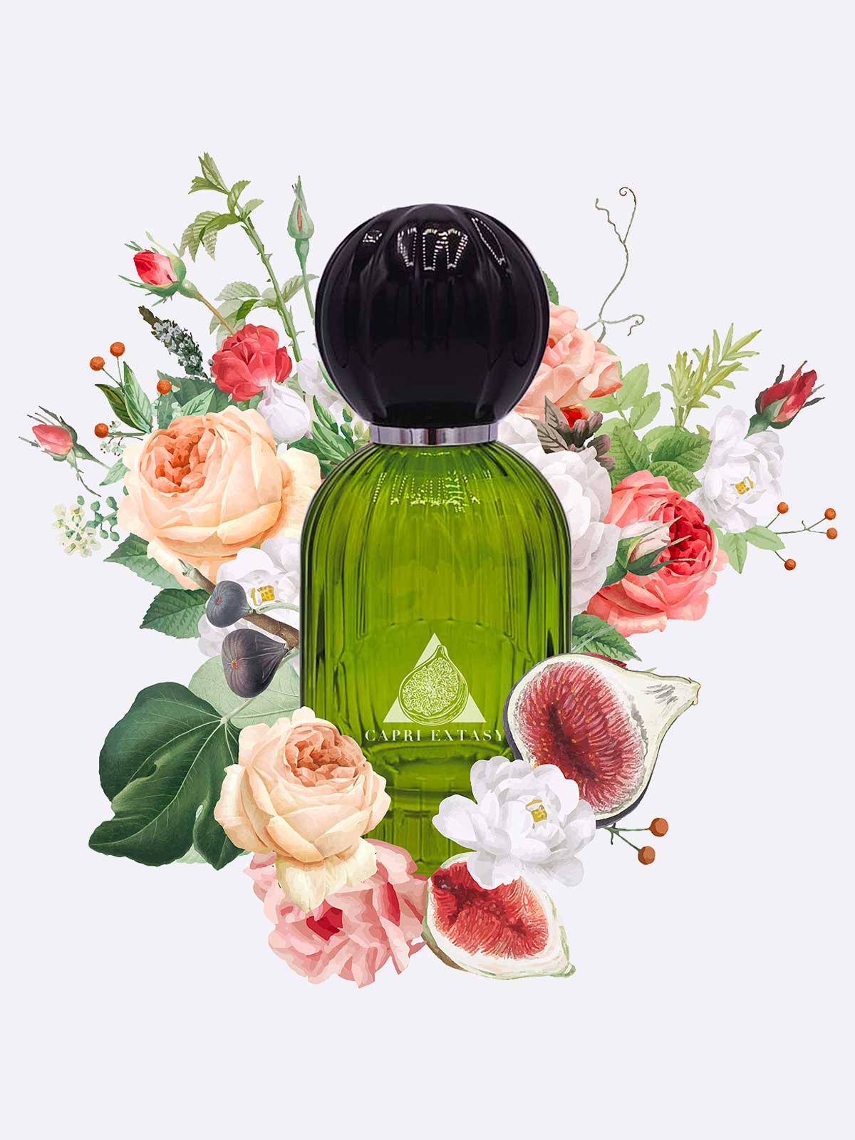 Les Folies du Parfum Capri Extasy – Eau de Parfum 100ml